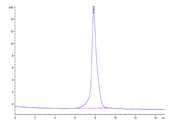 HPLC of Canine PDGF R beta/CD140b Protein 2637