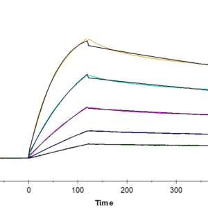 SPR with Human BDCA-2 Protein 2638