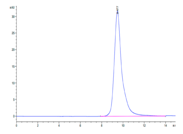 HPLC of Human ASGR1 Protein 2647