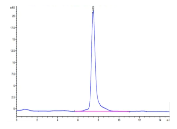 HPLC of Human FcRH5/FcRL5 Protein 2648