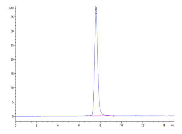 HPLC of Biotinylated Human IGF2R Protein 2649