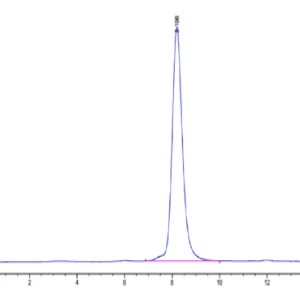 HPLC of Human CDH17/Cadherin 17 Domain 6-7 Protein 2651