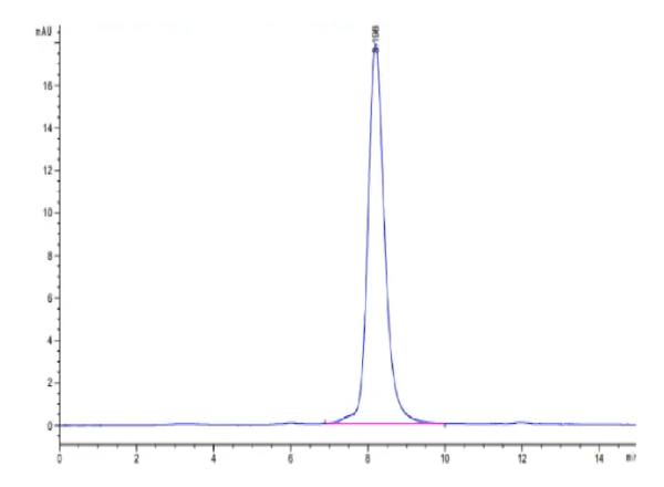 HPLC of Human CDH17/Cadherin 17 Domain 6-7 Protein 2651