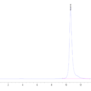 HPLC of Human LILRB4/CD85k/ILT3 Domain 1+hinge Protein 2654