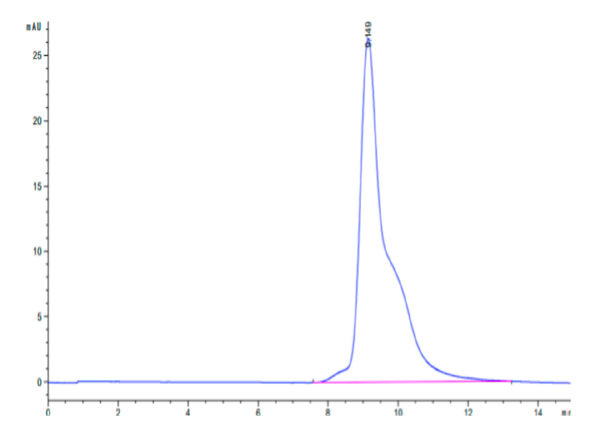 HPLC of Mouse ASGR1 Protein 2655