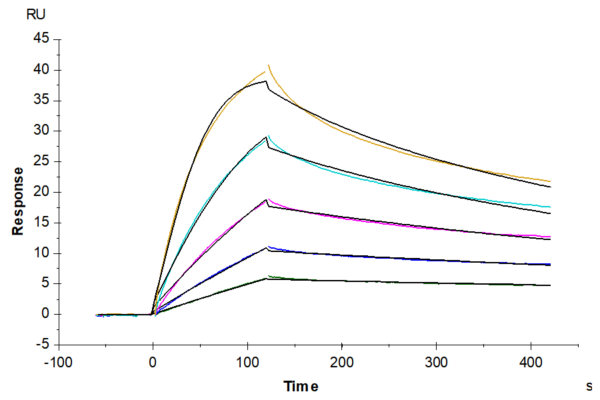 SPR with Cynomolgus/Rhesus macaque TNFSF15 Protein 2657