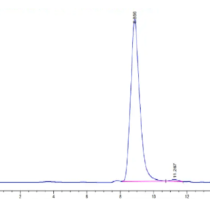 HPLC of Human Fibronectin (32-602) Protein 2658