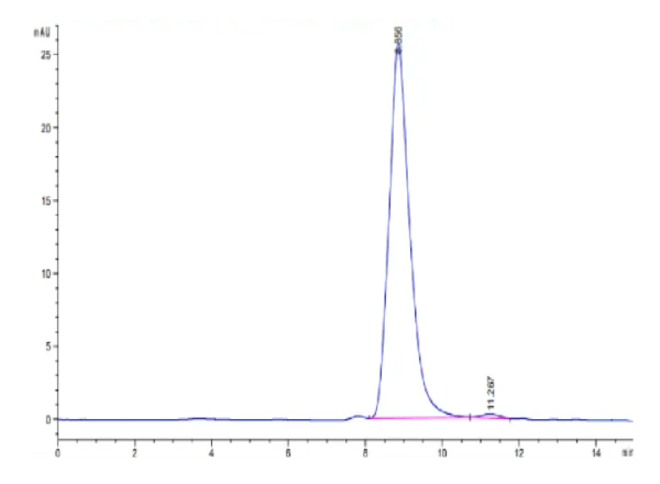 HPLC of Human Fibronectin (32-602) Protein 2658