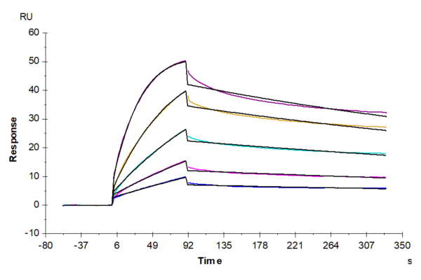 SPR with Human ULBP-4 Protein 2661