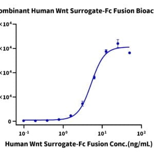 Activity assay with Human Wnt Surrogate-Fc Fusion Protein 2677