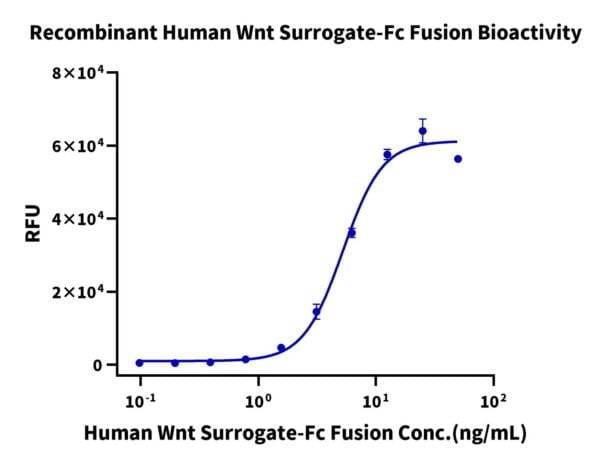 Activity assay with Human Wnt Surrogate-Fc Fusion Protein 2677