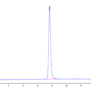 HPLC of Human IGF2R Domain 1-7 Protein 2678