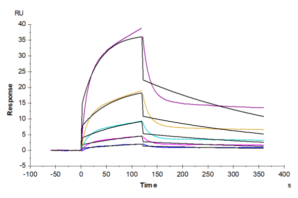 SPR with Human MICB Protein 2679