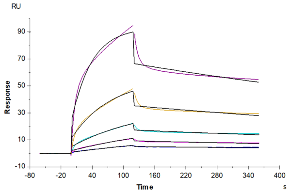 SPR with Human ULBP-2 Protein 2680