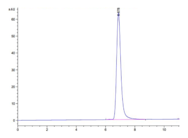 HPLC of Human HLA-C*03:04&B2M&KRAS G12D (GADGVGKSAL) Tetramer Protein 2682