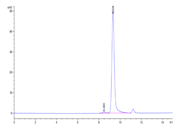 HPLC of Human FLT3 Ligand Protein 2691