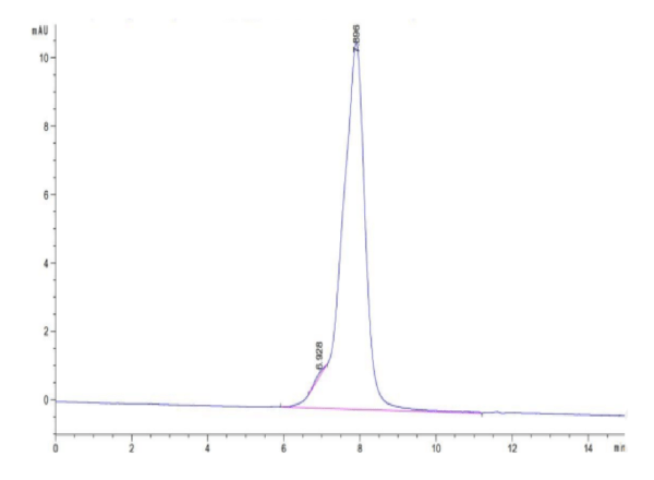 HPLC of Rhesus macaque CDH17/Cadherin 17 Protein 2704