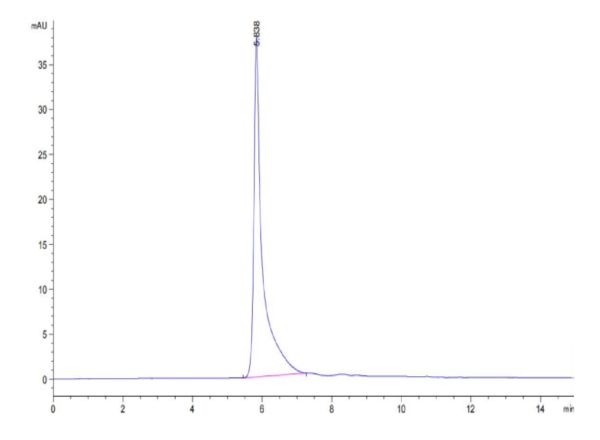 HPLC of Human CDH19 Protein 2706