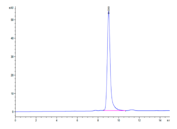 HPLC of Biotinylated Human HLA-A*02:01&B2M&MAGE-A4 (KVLEHVVRV) Monomer  2708