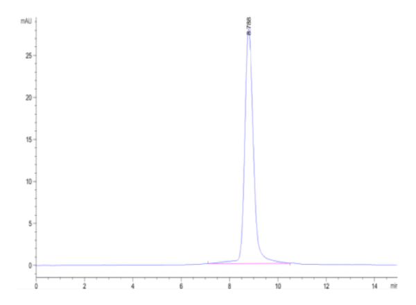 HPLC of Cynomolgus IFN alpha/beta R2 Protein 2712