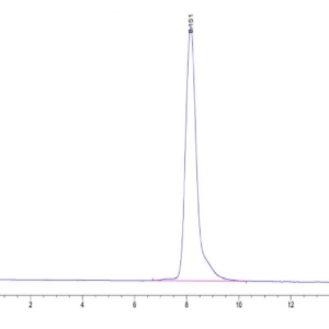 HPLC of Human XPNPEP2 Protein 2718