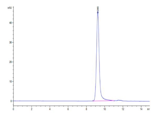 HPLC of Biotinylated Human HLA-A*11:01&B2M&KRAS G12R (VVVGARGVGK) Monom 2723