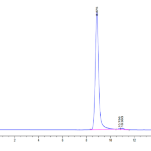 HPLC of Human HLA-A*11:01&B2M&KRAS G12R (VVVGARGVGK) Monomer Protein 2724