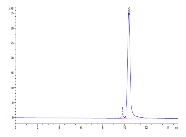 HPLC of Human FGF basic (154aa) Protein 2732