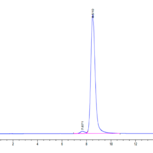 HPLC of Human MRC2 Protein 2739