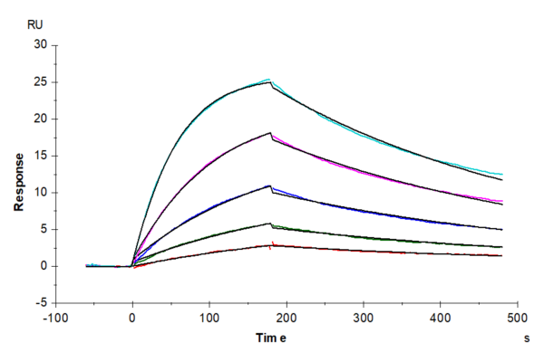 SPR with Human IL-27 Protein 2740