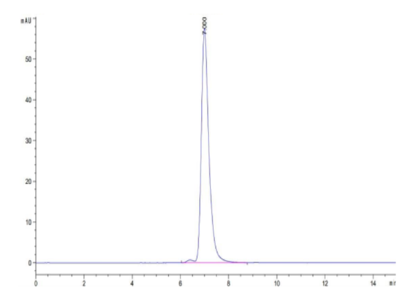 HPLC of Human HLA-A*02:01&B2M&MART-1 (ELAGIGILTV) Tetramer Protein 2761