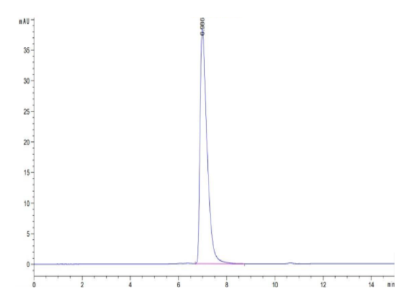 HPLC of Cynomolgus NCAM-1/CD56 Protein 2773