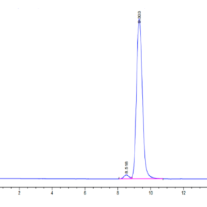 HPLC of Human CA12/Carbonic anhydrase XII Protein 2776