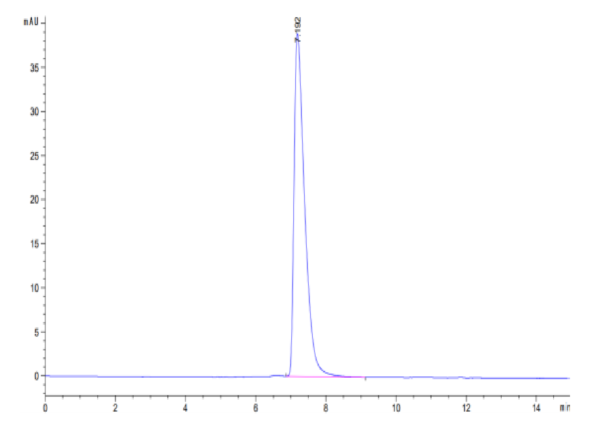 HPLC of Human NCAM-1/CD56 Protein 2780
