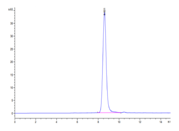 HPLC of Cynomolgus IL-10 R alpha Protein 2793