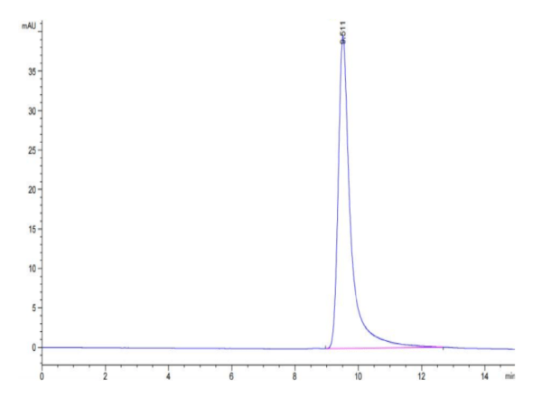 HPLC of Cynomolgus ANGPTL4/Angiopoietin-like 4 Protein 2794