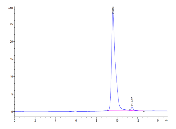 HPLC of SARS-CoV-2 3CLpro/3C-like Protease Protein (S144A)  2800