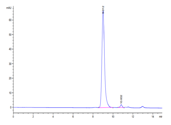 HPLC of SARS-CoV-2 3CLpro/3C-like Protease Protein (A191T)  2805