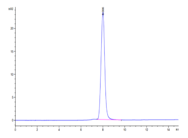 HPLC of Cynomolgus PDGF R alpha/PDGFRA Protein 2810