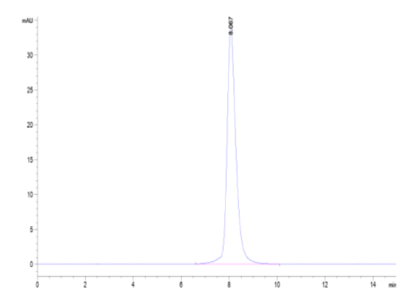 HPLC of Cynomolgus CD46 Protein 2813