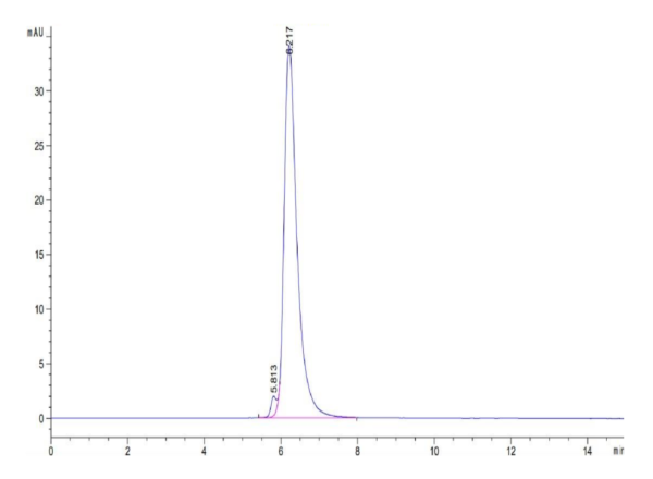 HPLC of Biotinylated Human VEGF R2/KDR Protein (Primary Amine Labeling) 2819