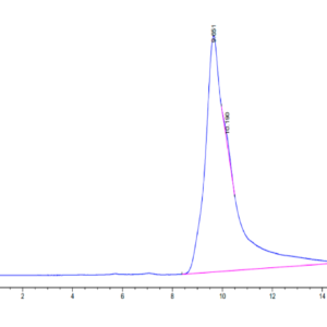 HPLC of Human CD69/CLEC2C Protein 2833