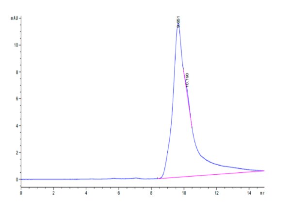 HPLC of Human CD69/CLEC2C Protein 2833