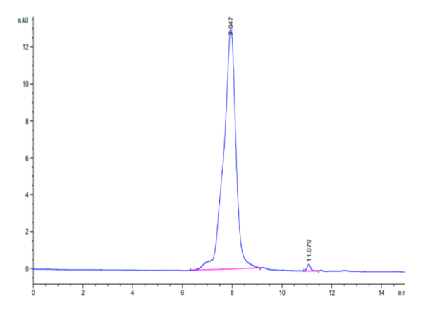 HPLC of Biotinylated Human CDH17/Cadherin 17 Protein 2835