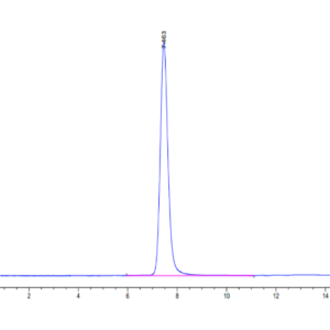 HPLC of Human PLXNA1 Protein 2836