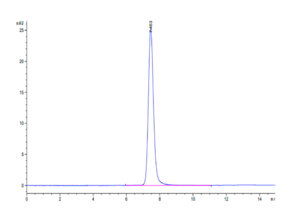 HPLC of Human PLXNA1 Protein 2836