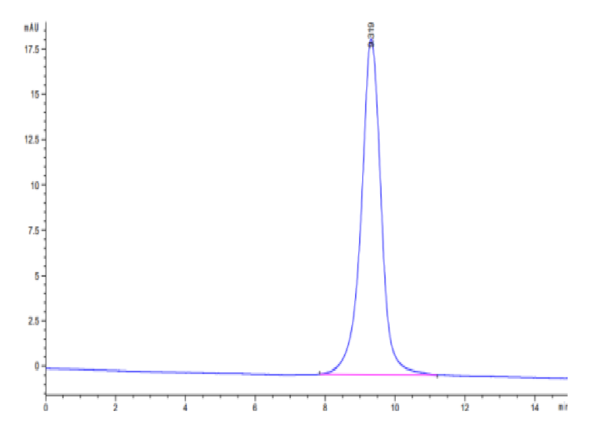 HPLC of Cynomolgus CD83 Protein 2840