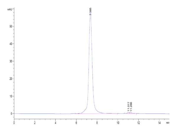 HPLC of Cynomolgus MFAP4 Protein 2845