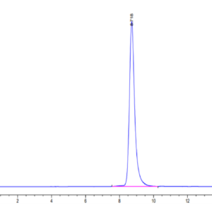 HPLC of Human/Cynomolgus EFNA3/Ephrin A3 Protein 2846
