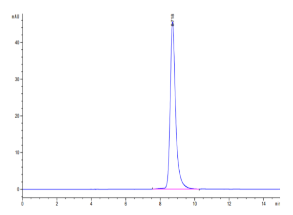 HPLC of Human/Cynomolgus EFNA3/Ephrin A3 Protein 2846